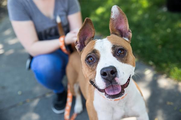 Best Friends Animal Society Photo 1
