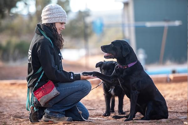 Best Friends Animal Society Photo 2